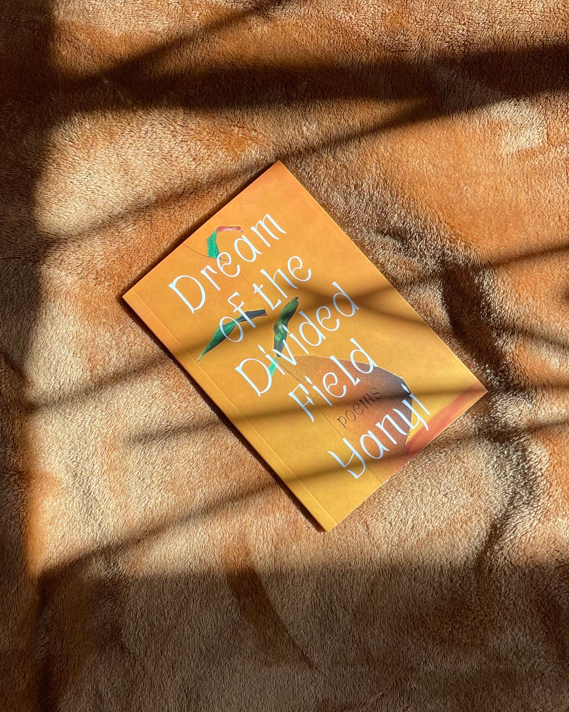 Cover of Dream of the Divided Field