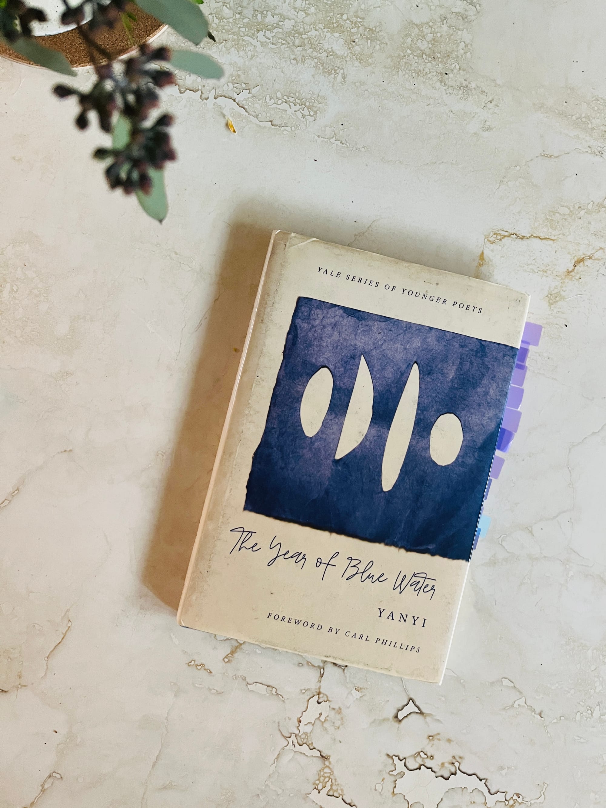 Cover of The Year of Blue Water